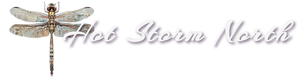 Hot Storm North